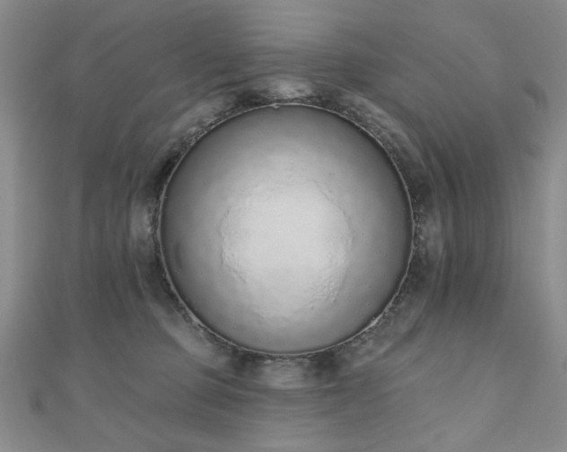 X0000110860373200906181146