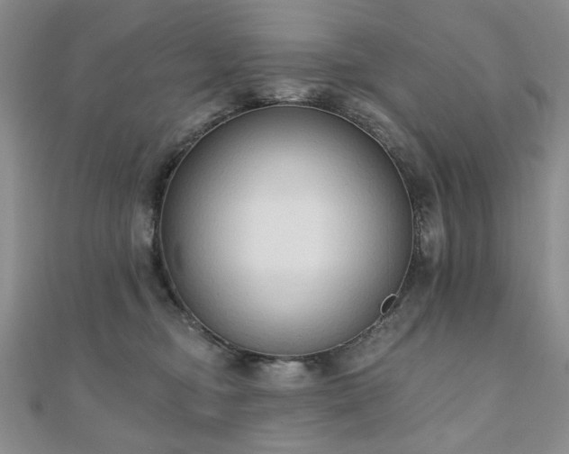 X0000110860374200906181146