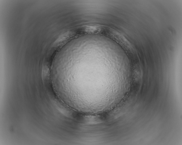 X0000110860375200906181146