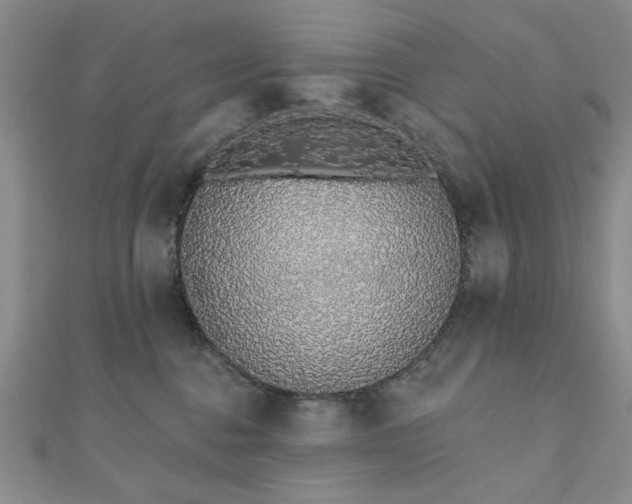 X0000110860376200906181146