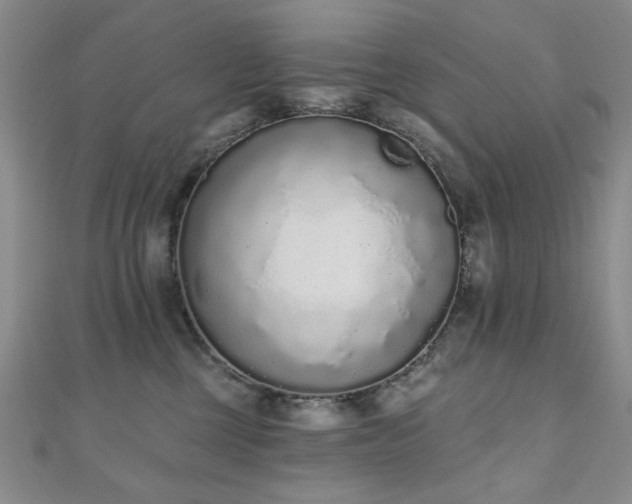 X0000110860377200906181146
