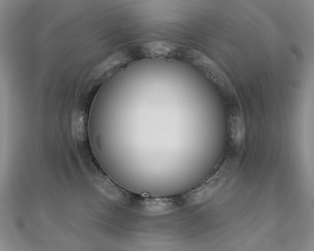 X0000110860378200906181146