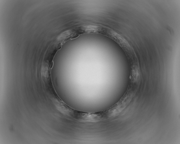 X0000110860379200906181146