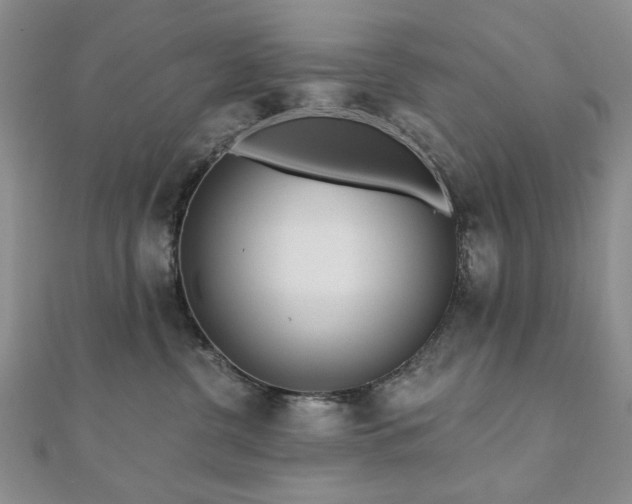 X0000110860380200906181146