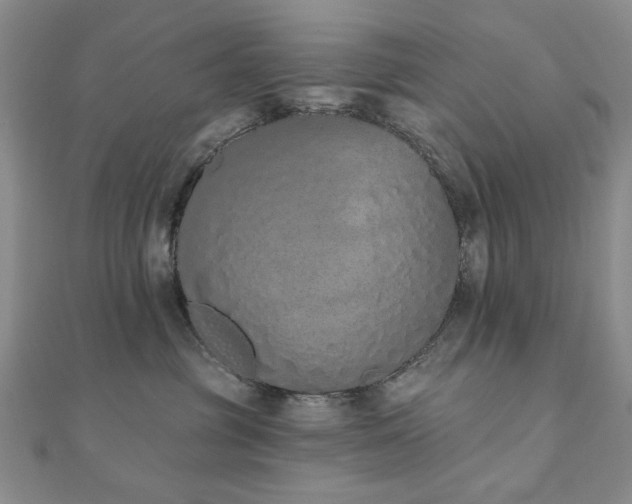 X0000110860381200906181146