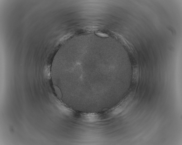 X0000110860383200906181146