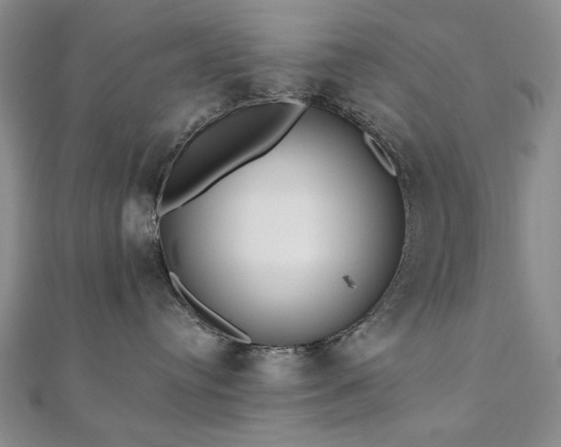 X0000110860384200906181146