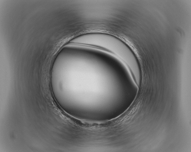 X0000110860385200906181145