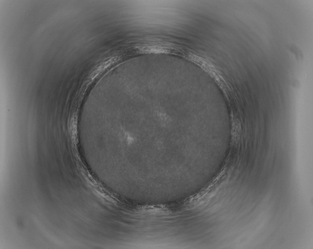X0000110860386200906181145