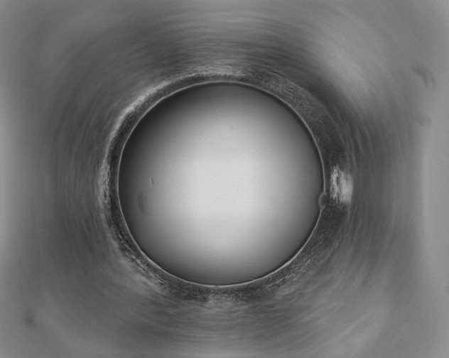 X0000110860388200906181145