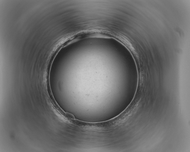 X0000110860389200906181145