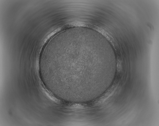 X0000110860390200906181145