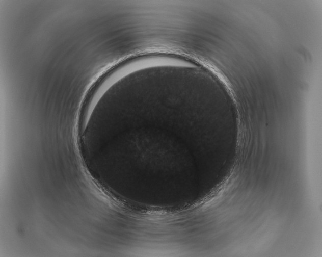 X0000110860391200906181145