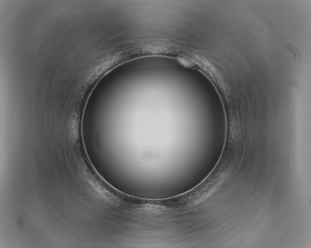 X0000110860393200906181145