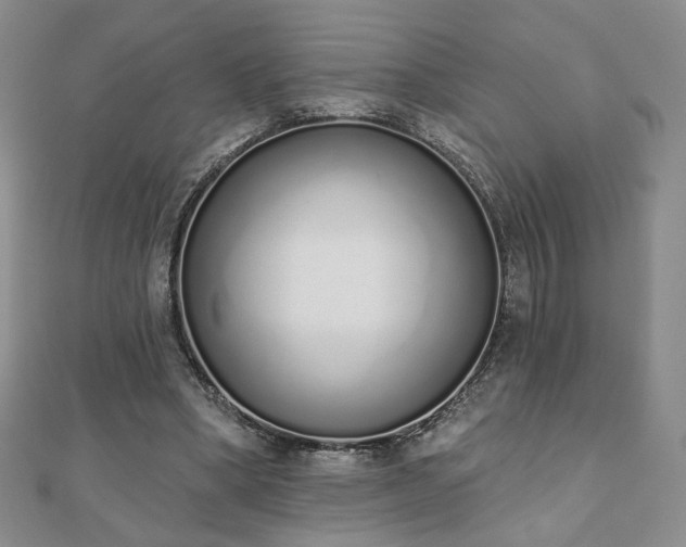 X0000110860394200906181145
