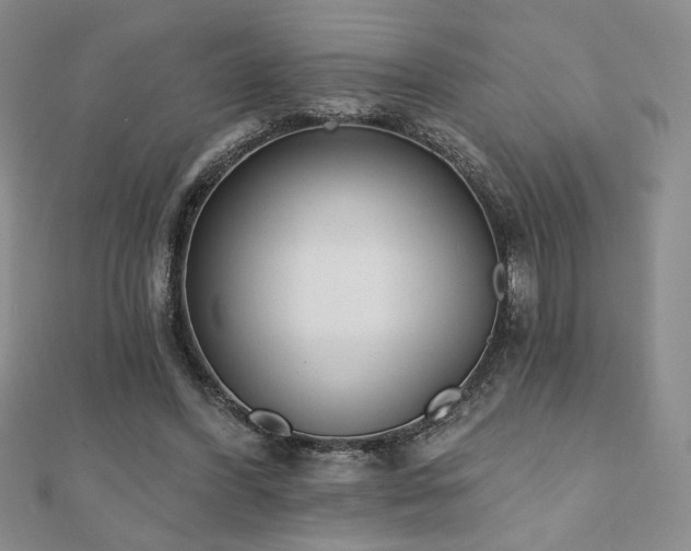 X0000110860396200906181145