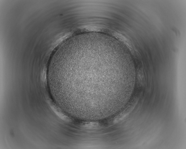 X0000110860398200906181145