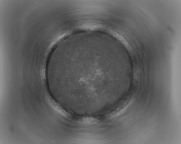 X0000110860399200906181145