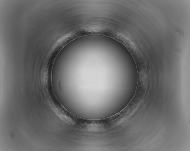 X0000110860400200906181145