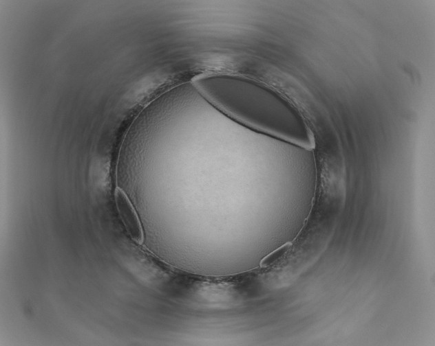 X0000110860403200906181145