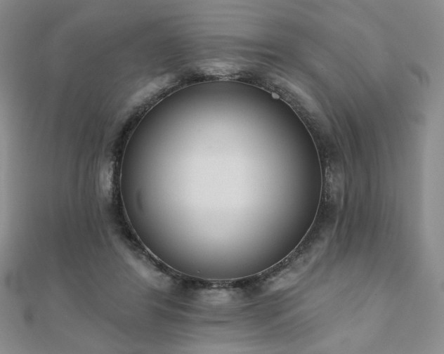 X0000110860404200906181145