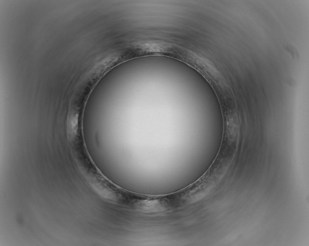 X0000110860406200906181145