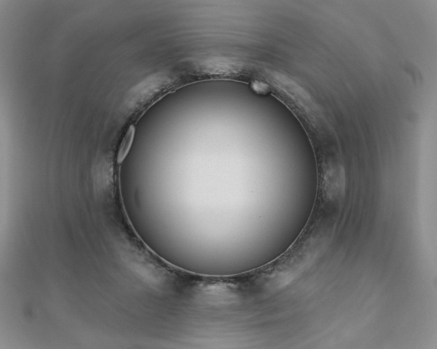 X0000110860407200906181145