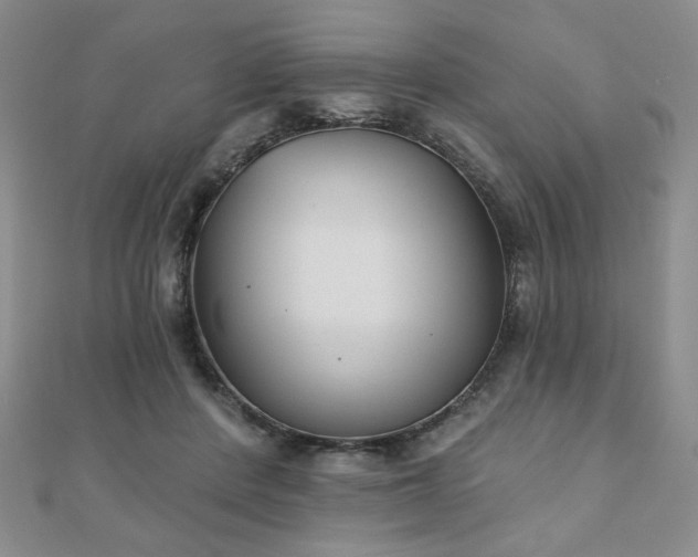 X0000110860408200906181145