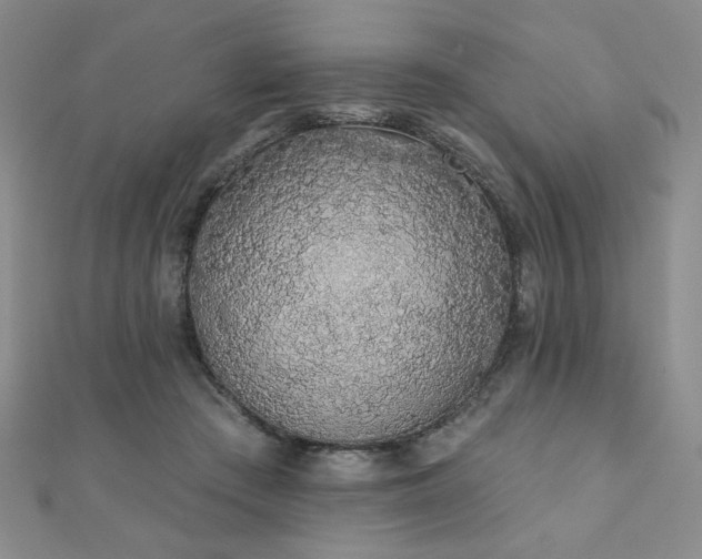 X0000110860409200906181145