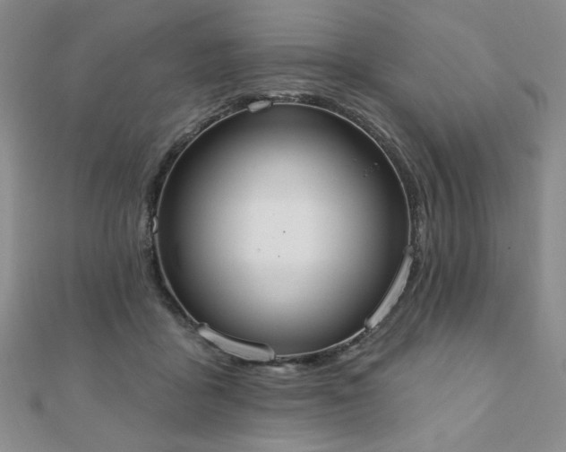 X0000110860411200906181145