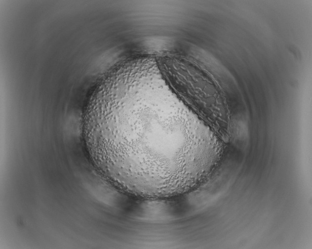 X0000110860413200906181145