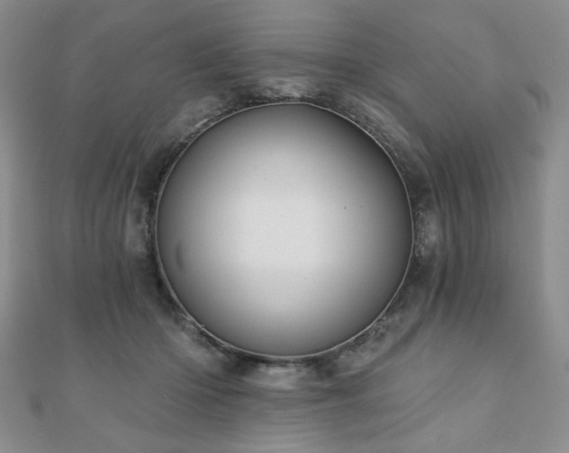 X0000110860414200906181145
