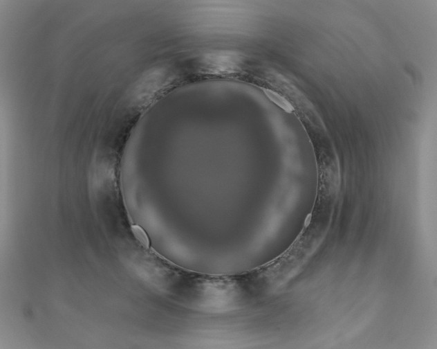 X0000110860415200906181145