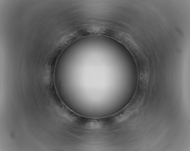 X0000110860416200906181145