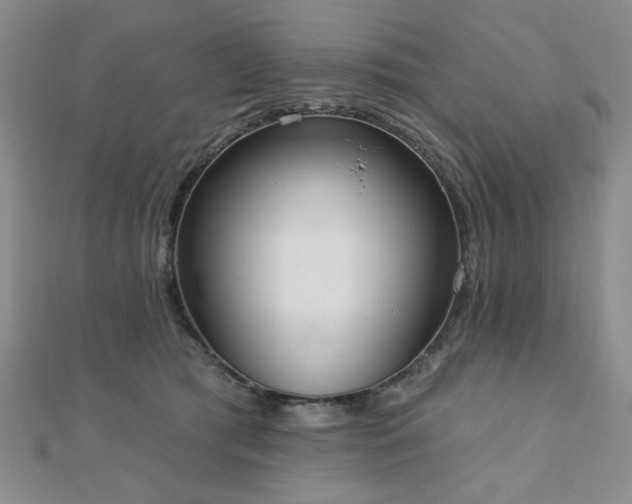 X0000110860417200906181145