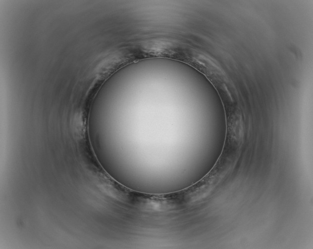 X0000110860420200906181145