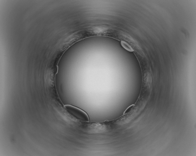 X0000110860421200906181145