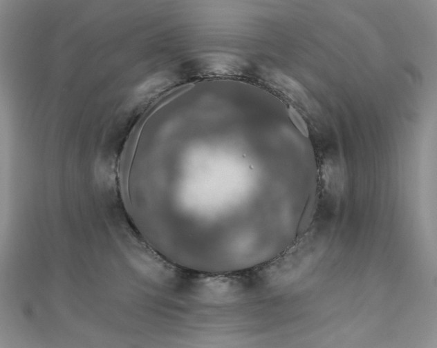 X0000110860423200906181145