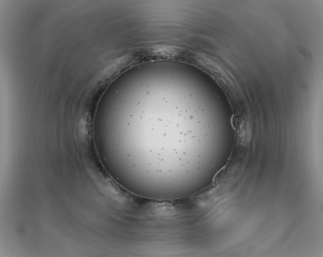 X0000110860424200906181145
