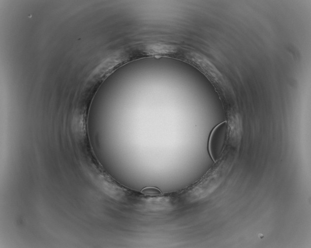 X0000110860426200906181145