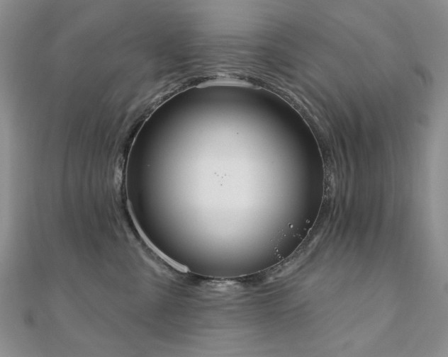 X0000110860427200906181145