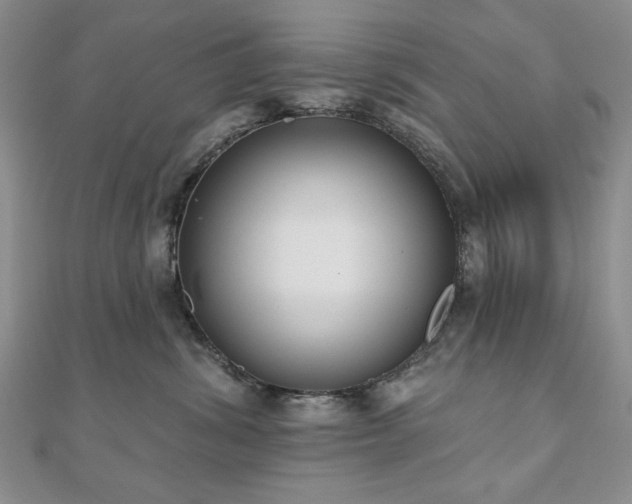 X0000110860428200906181145