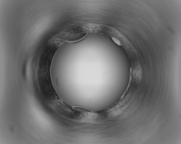 X0000110860429200906181145