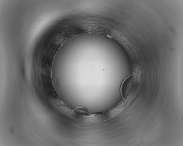 X0000110860430200906181145