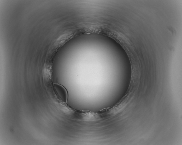 X0000110860432200906181145