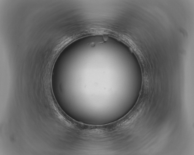 X0000110860433200906181144