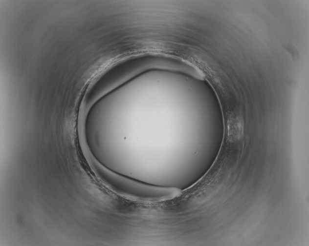 X0000110860436200906181144