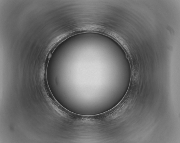 X0000110860437200906181144