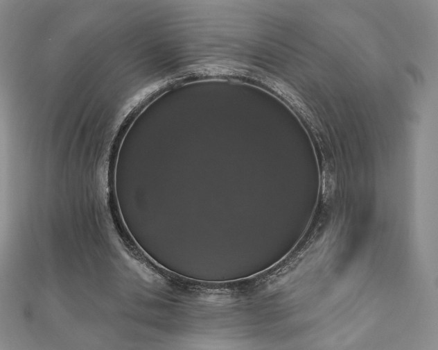 X0000110860438200906181144