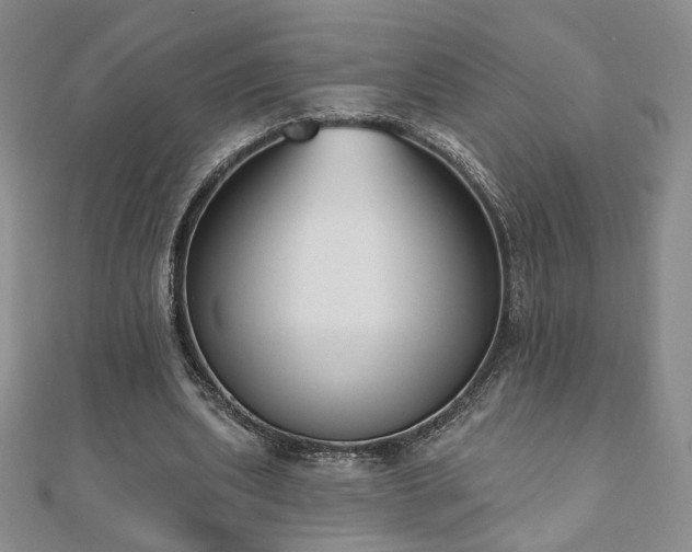 X0000110860439200906181144